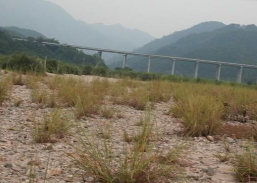 烤山药什么梗