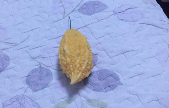 菠萝蜜核的功效与作用