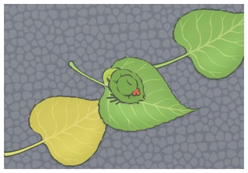 查理柯克案枪手遭父亲举报落网