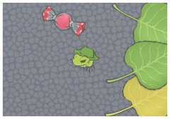 ���ޱ�����ս,�й�Ů����ܳ��ʶ�ӭ���ޱ�����ʤ